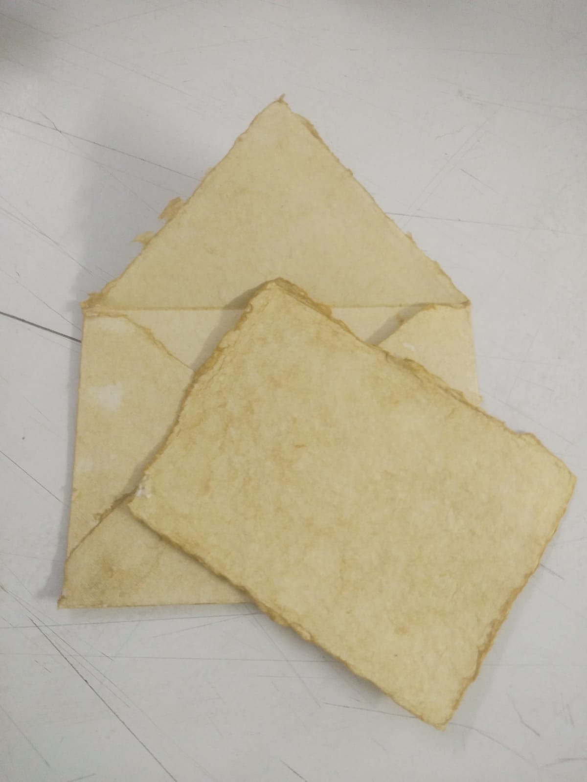 Deckle Edge Paper - Photo 2