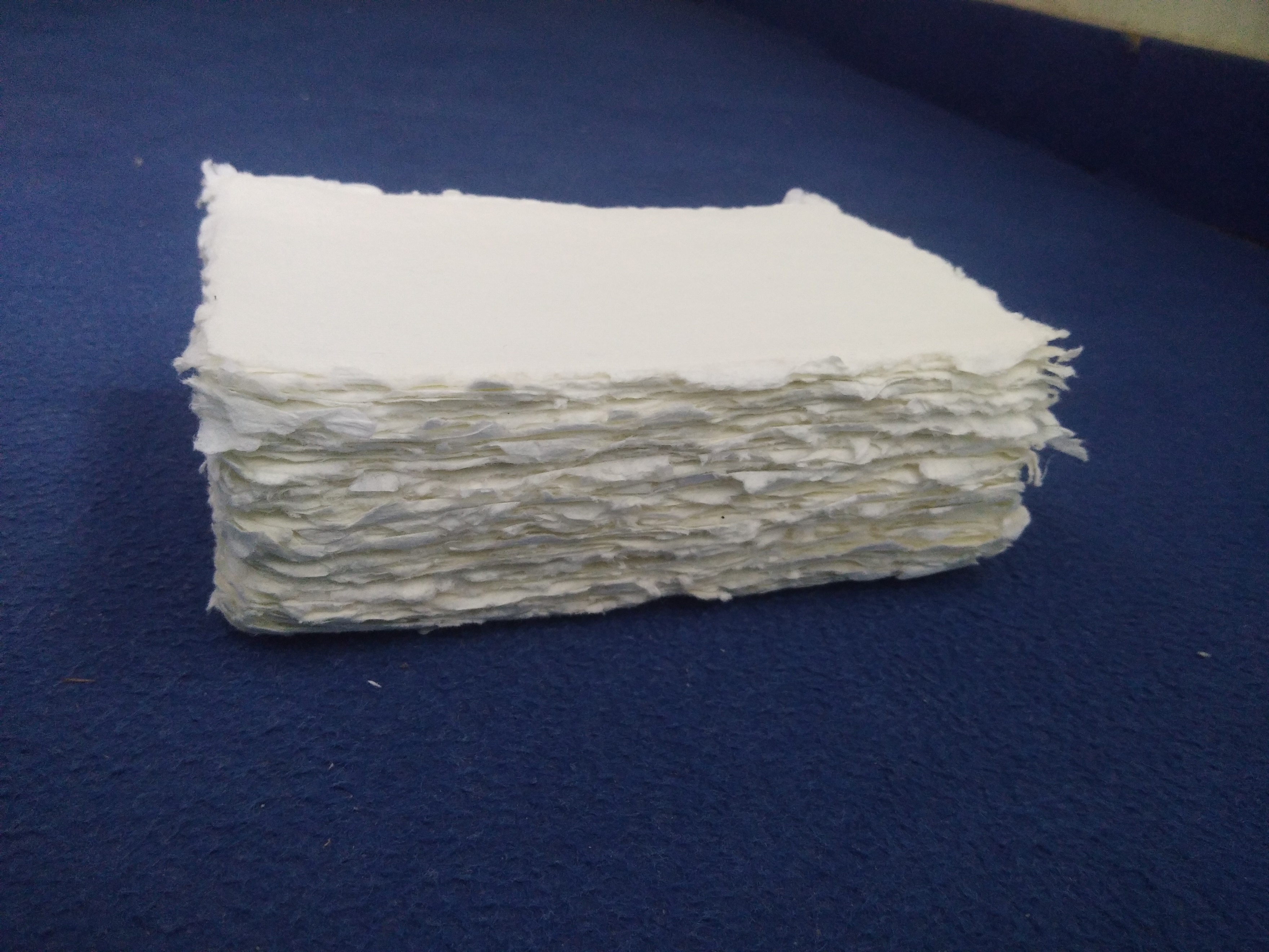 Deckle Edge Paper - Photo 5