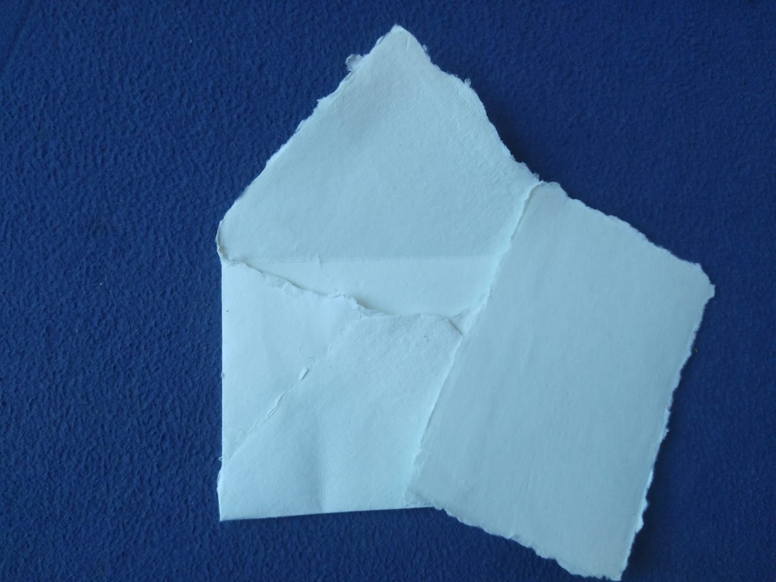 Deckle Edge Paper - Photo 12
