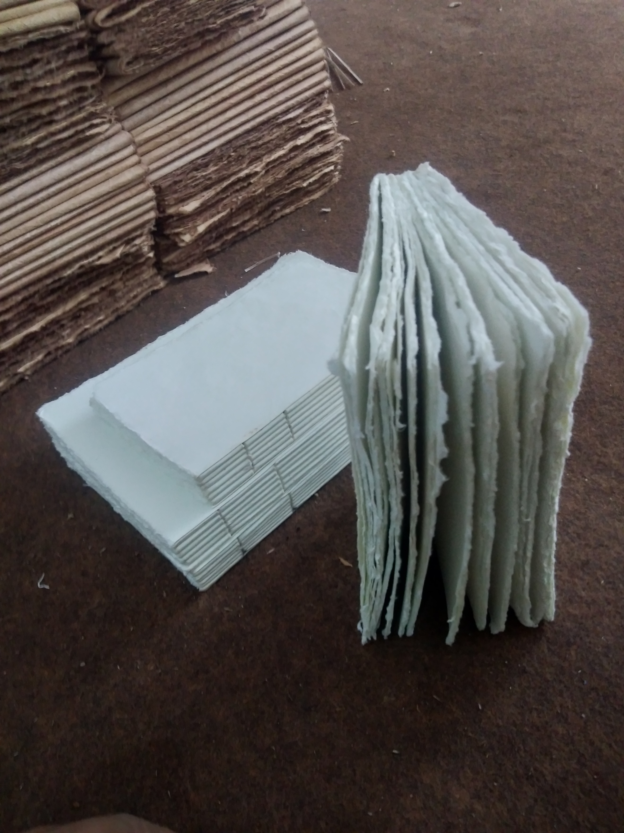 Deckle Edge Paper - Photo 13