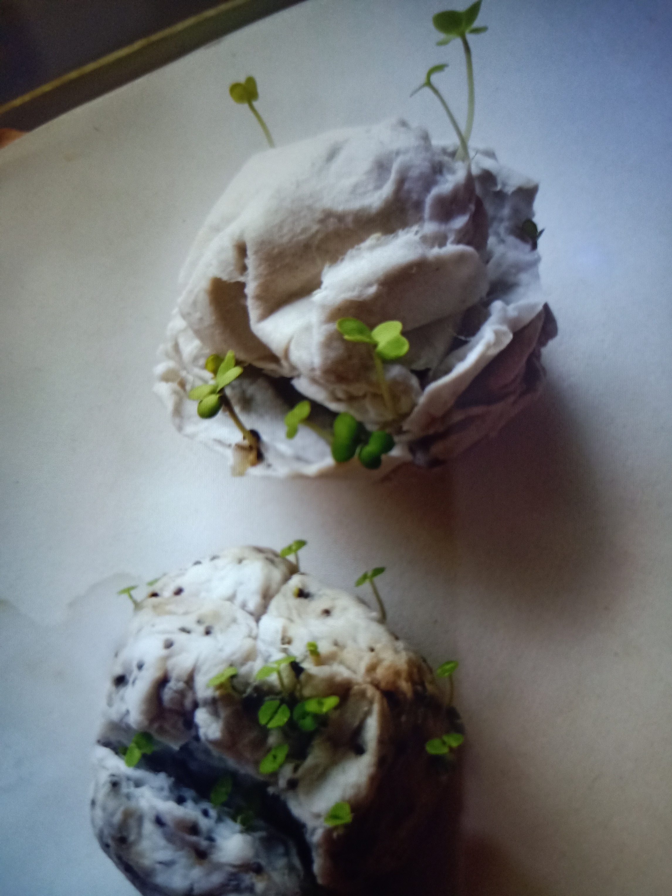 Seed Paper - Photo 2