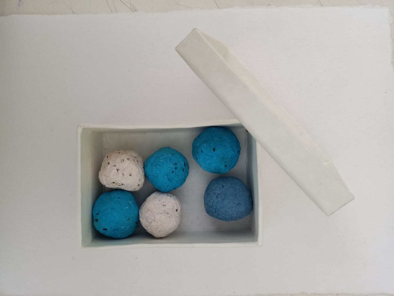 Seed Paper - Photo 10