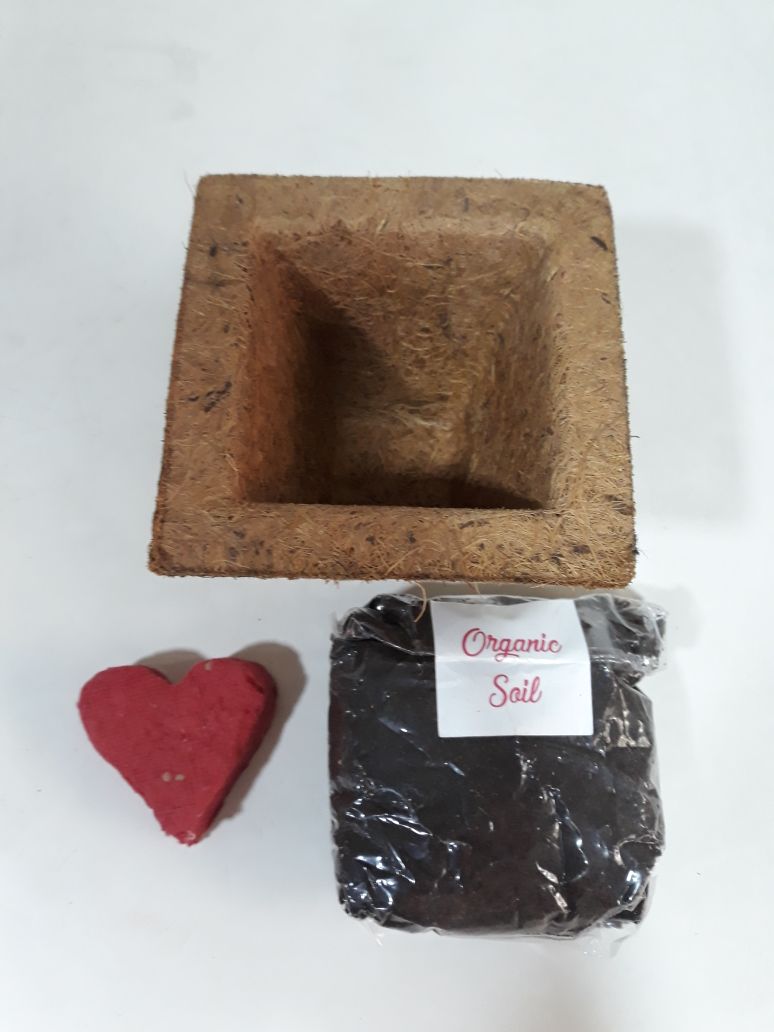 Seed Paper - Photo 13